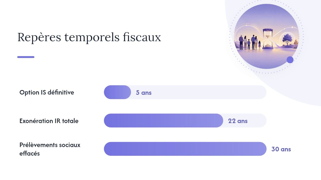 Faut-il rester à l'impôt sur le revenu ou opter pour l'impôt sur les sociétés ? — overview diagram